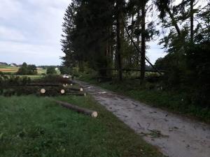neurje mirna, 02072019, foto PGD Selo (1)